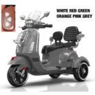 WhatsApp Image 2025-01-19 at 12.52.03 PM