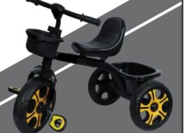 Kids Tricycles