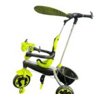 WhatsApp Image 2025-01-24 at 1.10.15 PM